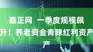 嘉正网  一季度规模飙升！养老资金青睐红利资产