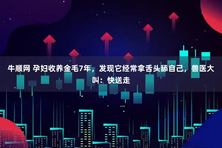 牛顺网 孕妇收养金毛7年，发现它经常拿舌头舔自己，兽医大叫：快送走