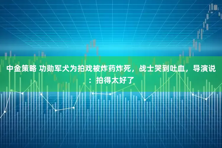 中金策略 功勋军犬为拍戏被炸药炸死，战士哭到吐血，导演说：拍得太好了